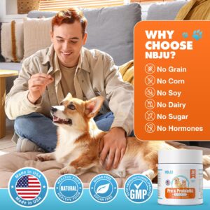 NBJU Probiotics for Dogs Cat Probiotic Chews Support Gut Health, Immunity Health, Diarrhea, Digestive Health & Seasonal Allergies - Chicken Flavor - 30 Chews Prebiotics and Probiotics