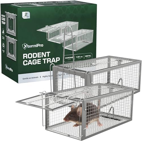 Live Animal Trap Cage 2 Pack -12.5" x 6.5" x 5.5" Humane Rat Trap, Chipmunk Trap, Squirrel Trap, Rodent Trap-Catch and Release-Heavy Duty Reusable No Kill Live Trap for Small Critters - Indoor/Outdoor