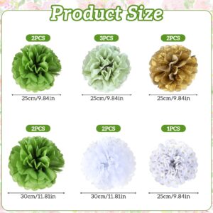 12 Pcs Pom Poms Party Decorations Olive Sage Green Tissue Paper White Gold Flowers Wall Hanging Paper Flowers Dot Tissue Paper Decor Baby Bridal Shower Birthday Wedding Party Decorations