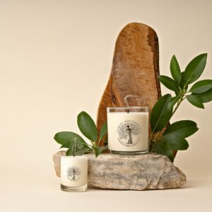 Element Tree Essentials Premium Lotion Candle: Downtown Asheville, White