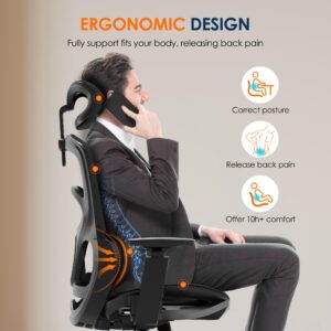 GABRYLLY Ergonomic Office Chair, High-Back Desk Chairs with Adjustable Lumbar Support, Headrest, Tilt Function, Soft Wide Seat and 3D Armrest, 300 LBS Sturdy Home Mesh Chair Task Chairs, GY1070