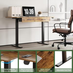 Our Modern Space 2-Drawer Height Adjustable 45" Electric Standing Desk - Upgraded Ultra Durable Home Office Large Rectangular Computer Table or Laptop Sit Stand Workstation - Maple