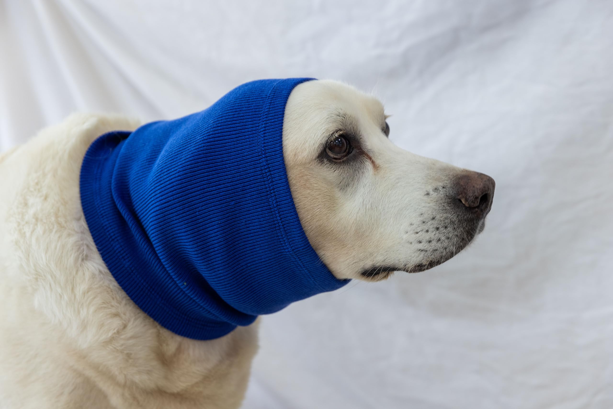 FDANDADE Quiet Ears for Dogs，Dog Hematoma Ear Wrap for Dogs Anxiety Relief – Noise Canceling for Fireworks, Thunderstorms, Pet Grooming & Force Drying(Blue M)