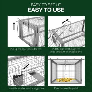 Live Animal Trap Cage - 12.5" x 6.5" x 5.5" Humane Rat Trap, Chipmunk Trap, Squirrel Trap, Rodent Trap - Catch and Release - Heavy Duty Reusable No Kill Live Trap for Small Critters - Indoor/Outdoor