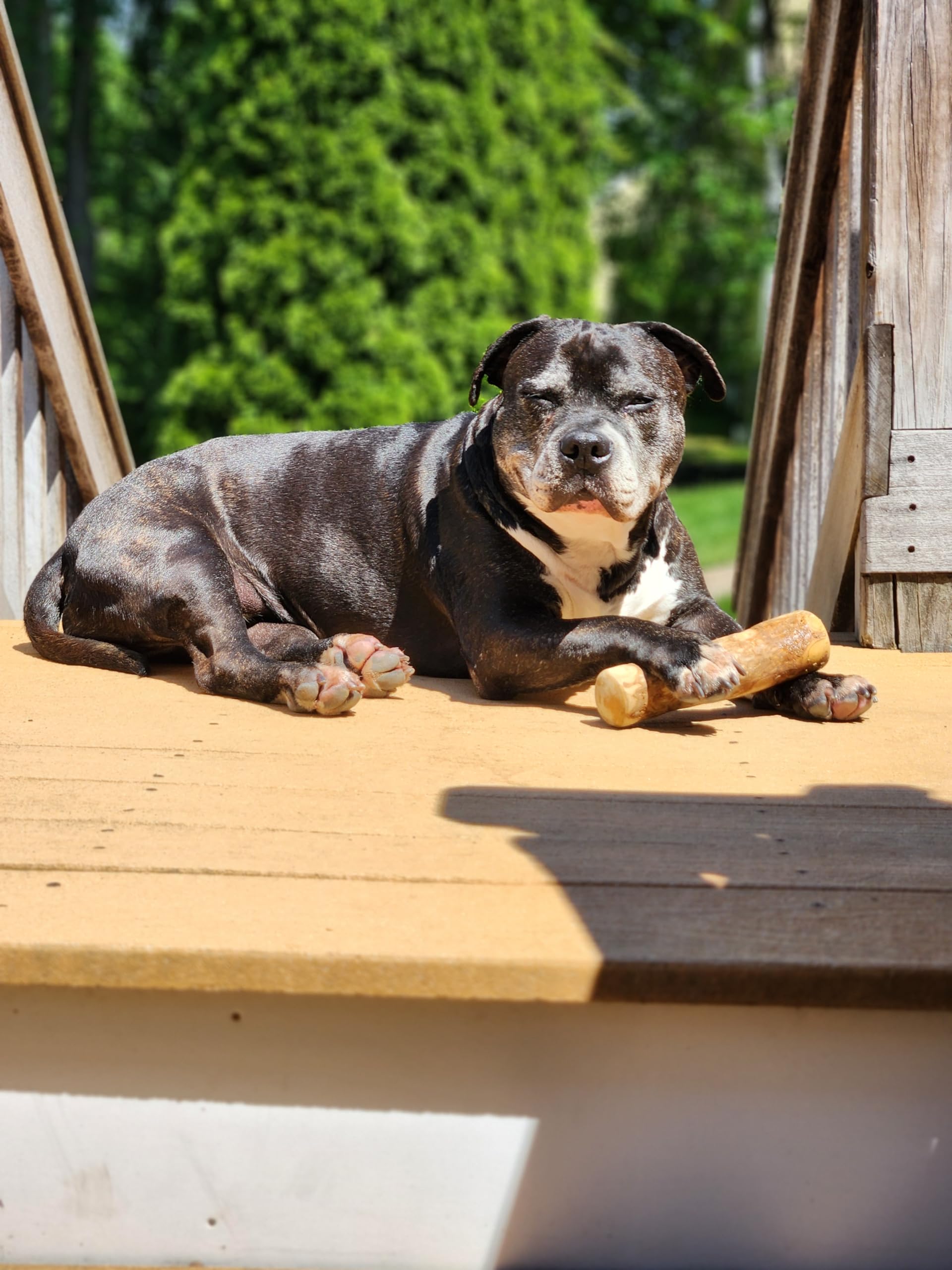 Unleashed Concepts Natural Coffee Wood chew for Dogs (Small)