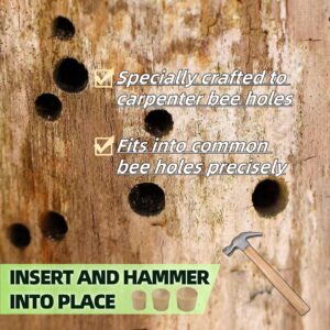 Tensland 218 Pieces 3-in-1 Carpenter Bee Holes Repair Kit, Small Medium Large Wood Bee Hole Plugs, Carpenter Bee Corks Set, 3-Step Total Fix Solution