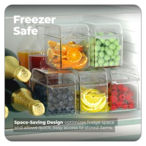 Prime Home Direct Ice Chilled Condiment Caddy | 5 Containers & Lids | Hosting Party Supplies Serving Tray Platter | Buffet, Food Server, Fruit, Garnish, Mimosa, Salad, Taco Bar Accessories Organizer