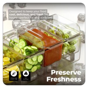 Prime Home Direct Ice Chilled Condiment Caddy | 5 Containers & Lids | Hosting Party Supplies Serving Tray Platter | Buffet, Food Server, Fruit, Garnish, Mimosa, Salad, Taco Bar Accessories Organizer