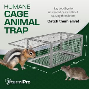 Live Animal Trap Cage - 12.5" x 6.5" x 5.5" Humane Rat Trap, Chipmunk Trap, Squirrel Trap, Rodent Trap - Catch and Release - Heavy Duty Reusable No Kill Live Trap for Small Critters - Indoor/Outdoor