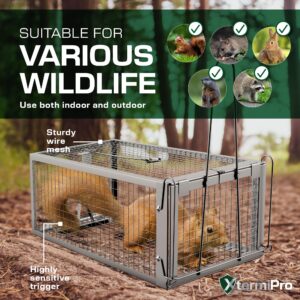 Live Animal Trap Cage - 12.5" x 6.5" x 5.5" Humane Rat Trap, Chipmunk Trap, Squirrel Trap, Rodent Trap - Catch and Release - Heavy Duty Reusable No Kill Live Trap for Small Critters - Indoor/Outdoor