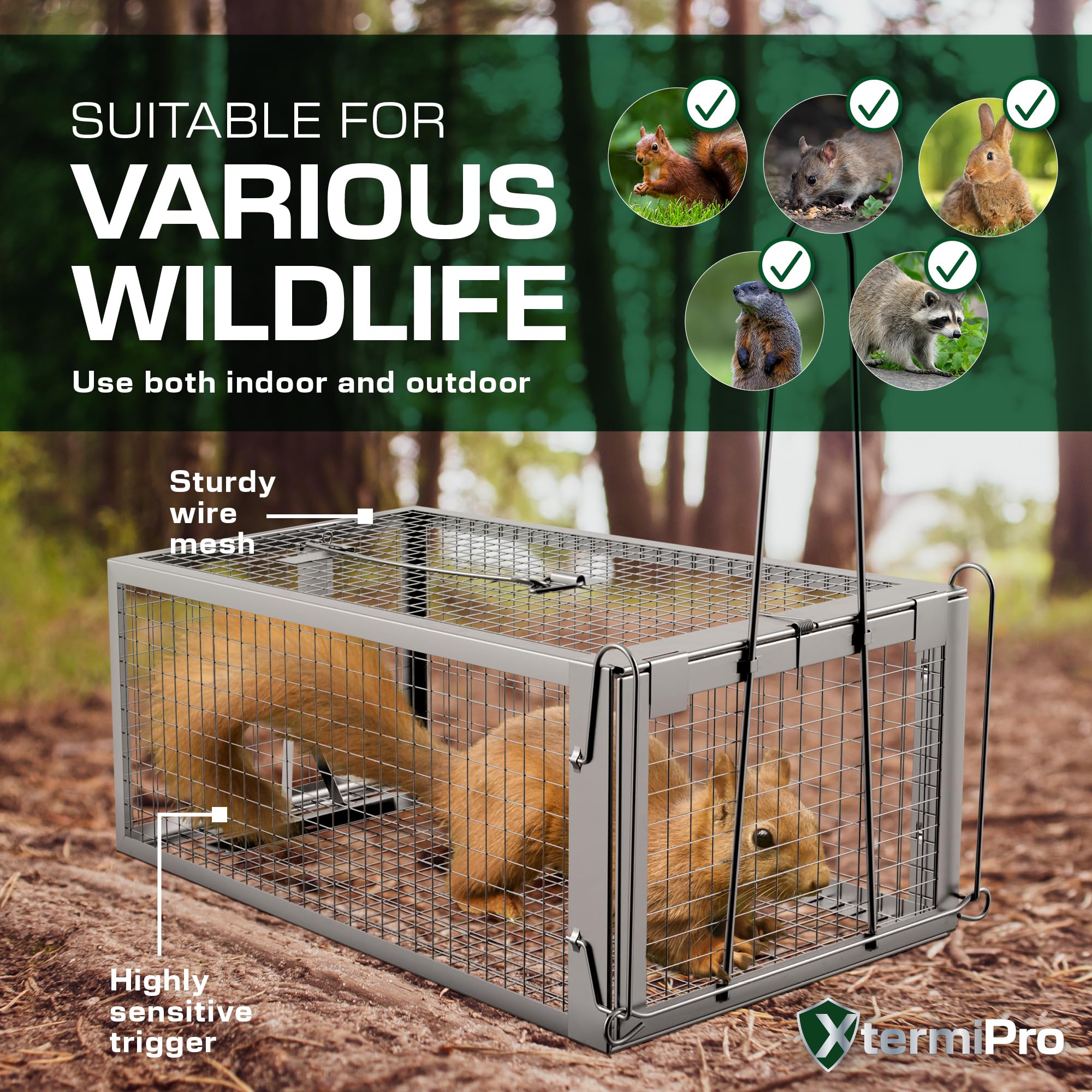 Live Animal Trap Cage - 12.5" x 6.5" x 5.5" Humane Rat Trap, Chipmunk Trap, Squirrel Trap, Rodent Trap - Catch and Release - Heavy Duty Reusable No Kill Live Trap for Small Critters - Indoor/Outdoor