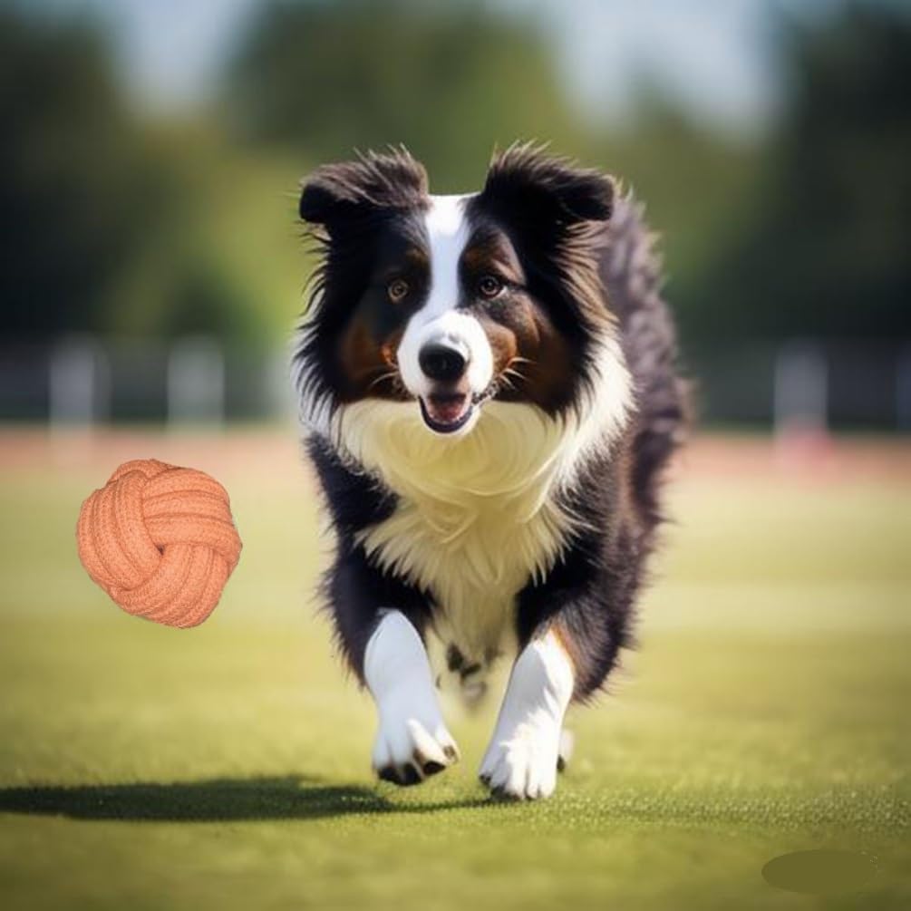 GOGOTAIL Dog Chew Toys, Dog Rope Balls Kit 2 Pack, Fun Interactive Cotton Balls for Medium to Large Dogs with a Diameter of 3 inches, Relieve Boredom, Chewing, Teething and Training, Light Orange.