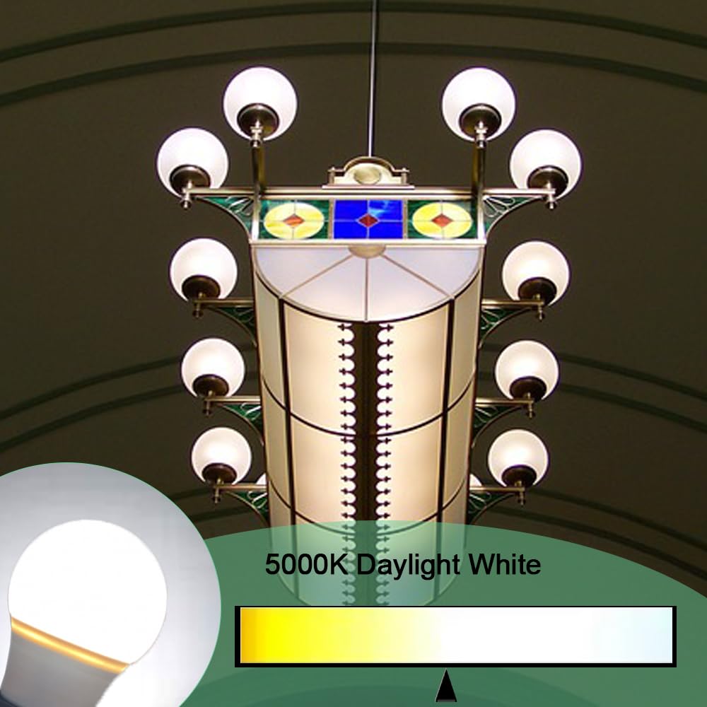 NETEHA 2 Pack A15 5W 120V E26 Base LED Refrigerator Light Bulb, Non-Dimmable 50W Equivalent 5000K Daylight White LED Appliance Light Bulb for Ceiling Fan and Lighting Fixtures