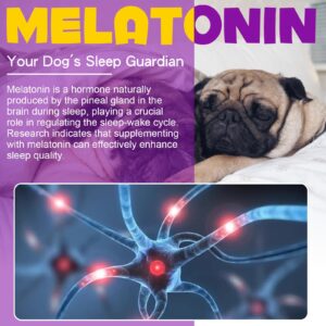 Melatonin for Dogs - Dog Melatonin - Dog Melatonin for Small Dogs - Cat Melatonin - Anxiety & Stress Relief - Promote Relaxation & Deep Sleep for Cat & Dog