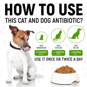 Antibiotic for Cats | Natural Antibiotics for Dogs | Cat Antibiotics | Dog Antibiotic | Antibiotic for Dogs | Natural Antibiotics for Cats | Natural Dietary Supplement Pet Antibiotic | Beef | 2 Oz