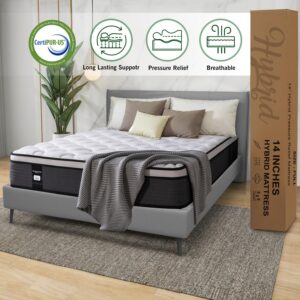 DatMou Queen Mattress, 14 Inch Hybrid Mattress, Queen Size Mattress in a Box, Gel Memory Foam Hybrid Mattress with Individually Pocketed Springs, Fiberglass Free,CertiPUR-US