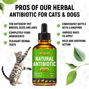 Antibiotic for Cats | Natural Antibiotics for Dogs | Cat Antibiotics | Dog Antibiotic | Antibiotic for Dogs | Natural Antibiotics for Cats | Natural Dietary Supplement Pet Antibiotic | Beef | 2 Oz