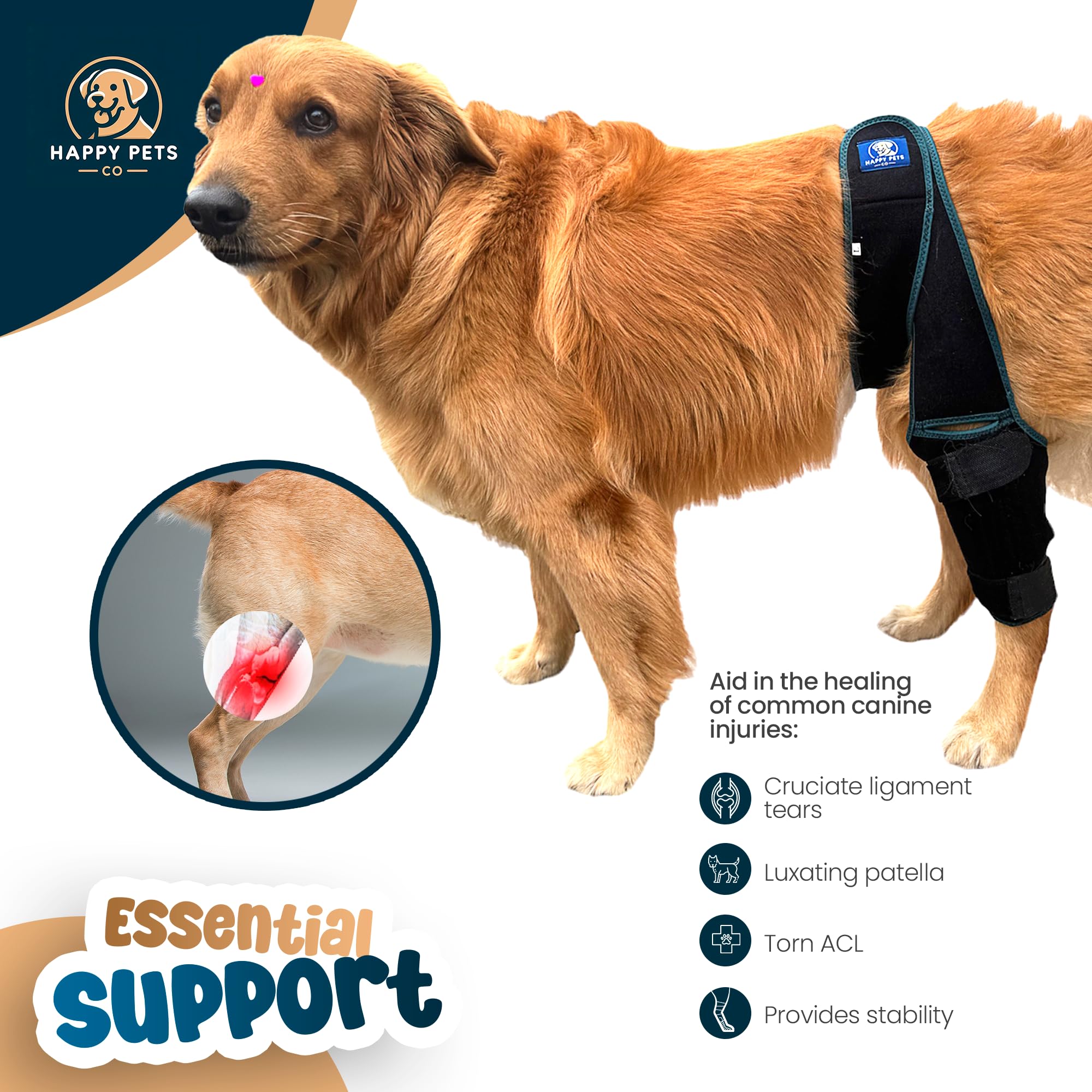 HAPPY PETS CO Dog Knee Brace Adjustable Front Hind Leg Brace for Cruciate Ligament Injury, Luxating Patella, Torn ACL