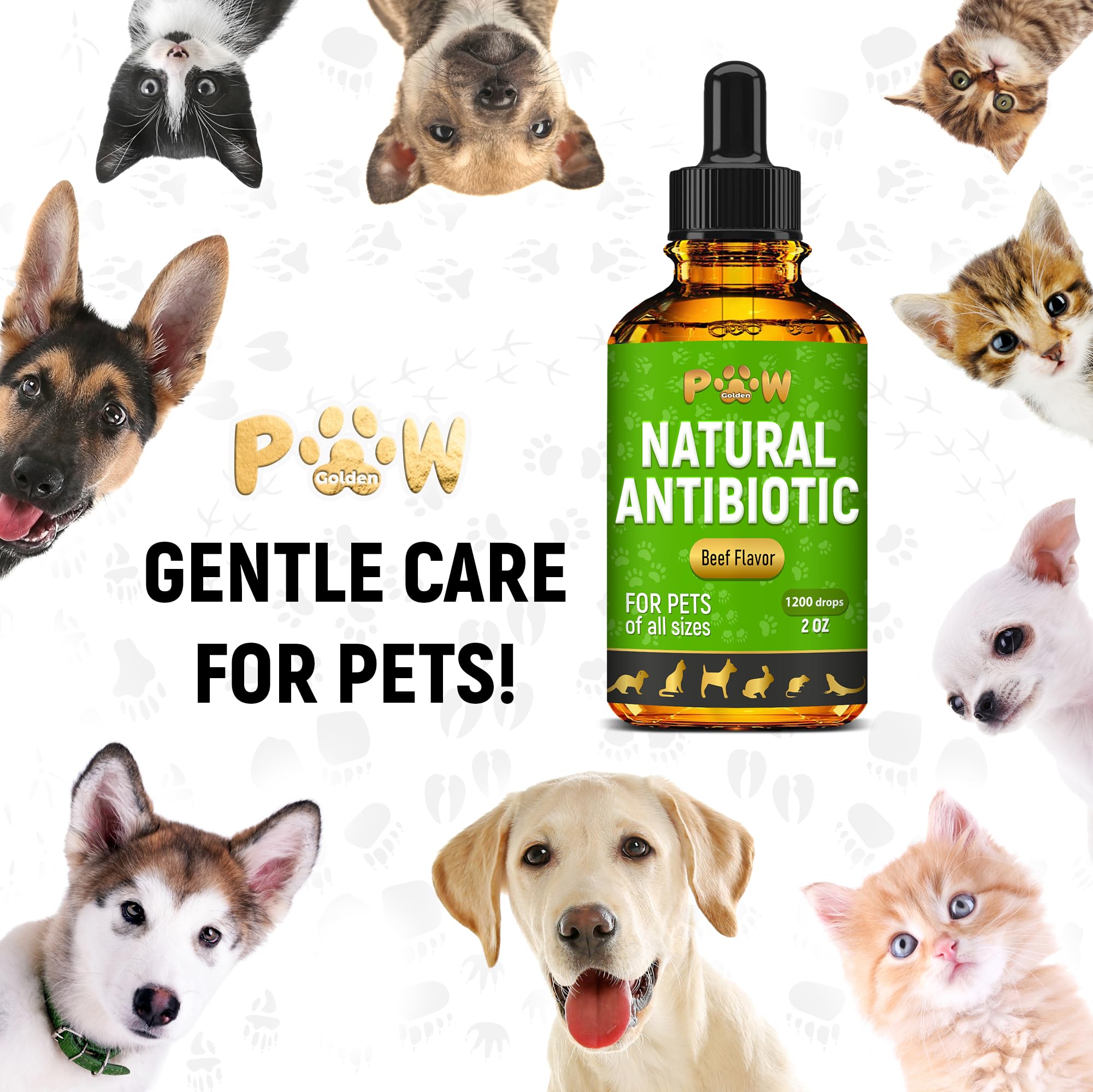 Antibiotic for Cats | Natural Antibiotics for Dogs | Cat Antibiotics | Dog Antibiotic | Antibiotic for Dogs | Natural Antibiotics for Cats | Natural Dietary Supplement Pet Antibiotic | Beef | 2 Oz