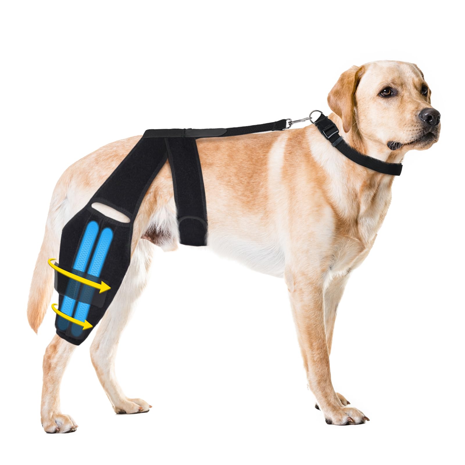 Dog Knee Brace for Torn ACL Hind Leg, Strong Dog Leg Braces for Back or Front Leg with 2 Metal Strips, Adjustable Anti-Slip Dog ACL Hip Brace for Large Medium Small Dogs with Cruciate Ligament Injury