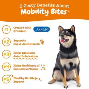 Generic Mobility Bites for Dogs, Hip and Joint, All Ages, Duck, 90 Soft Chews, 12.7 oz (360 g), neutral