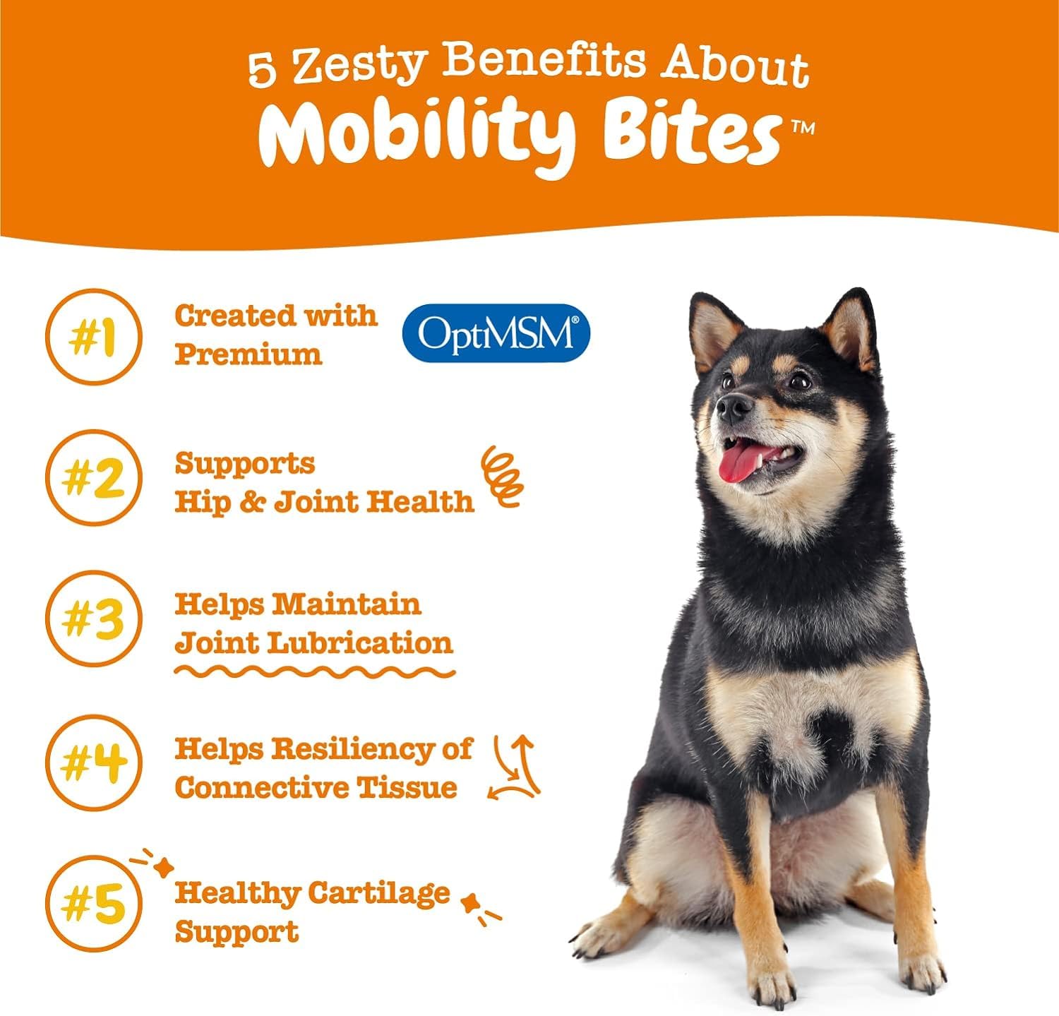 Generic Mobility Bites for Dogs, Hip and Joint, All Ages, Duck, 90 Soft Chews, 12.7 oz (360 g), neutral