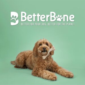 BetterBone - All-Natural, Nylon-Free Dog Chew Toys - Medium Density - Ideal for Moderate to Strong Chewers - Non-Toxic, Promotes Dental Health, Splinter-Resistant, Sustainably Made