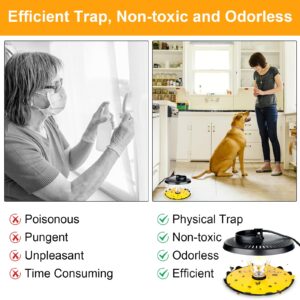 Flea Trap, Sticky Flea Traps for Inside Your Home, Odorless Non-Toxic Natural Flea Killer Trap with 10 Sticky Discs & 4 Bulbs, Pest Control for Home, Safe for Children Pet Dog Cat(2 Pack Black)