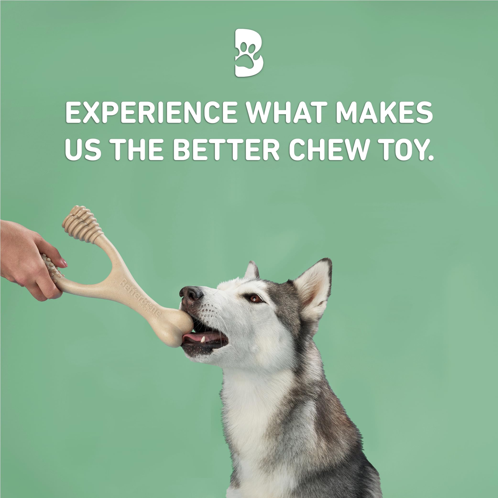 BetterBone - All-Natural, Nylon-Free Dog Chew Toys - Medium Density - Ideal for Moderate to Strong Chewers - Non-Toxic, Promotes Dental Health, Splinter-Resistant, Sustainably Made