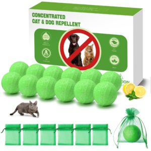 magic cat cat repellent outdoor, 12 pack peppermint oil cat deterrent indoor for home to protect furniture curtain pet family safe, dog repellent to keep feral cats stray dogs out of yard garden lawn