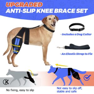 Dog Knee Brace for Torn ACL Hind Leg, Strong Dog Leg Braces for Back or Front Leg with 2 Metal Strips, Adjustable Anti-Slip Dog ACL Hip Brace for Large Medium Small Dogs with Cruciate Ligament Injury