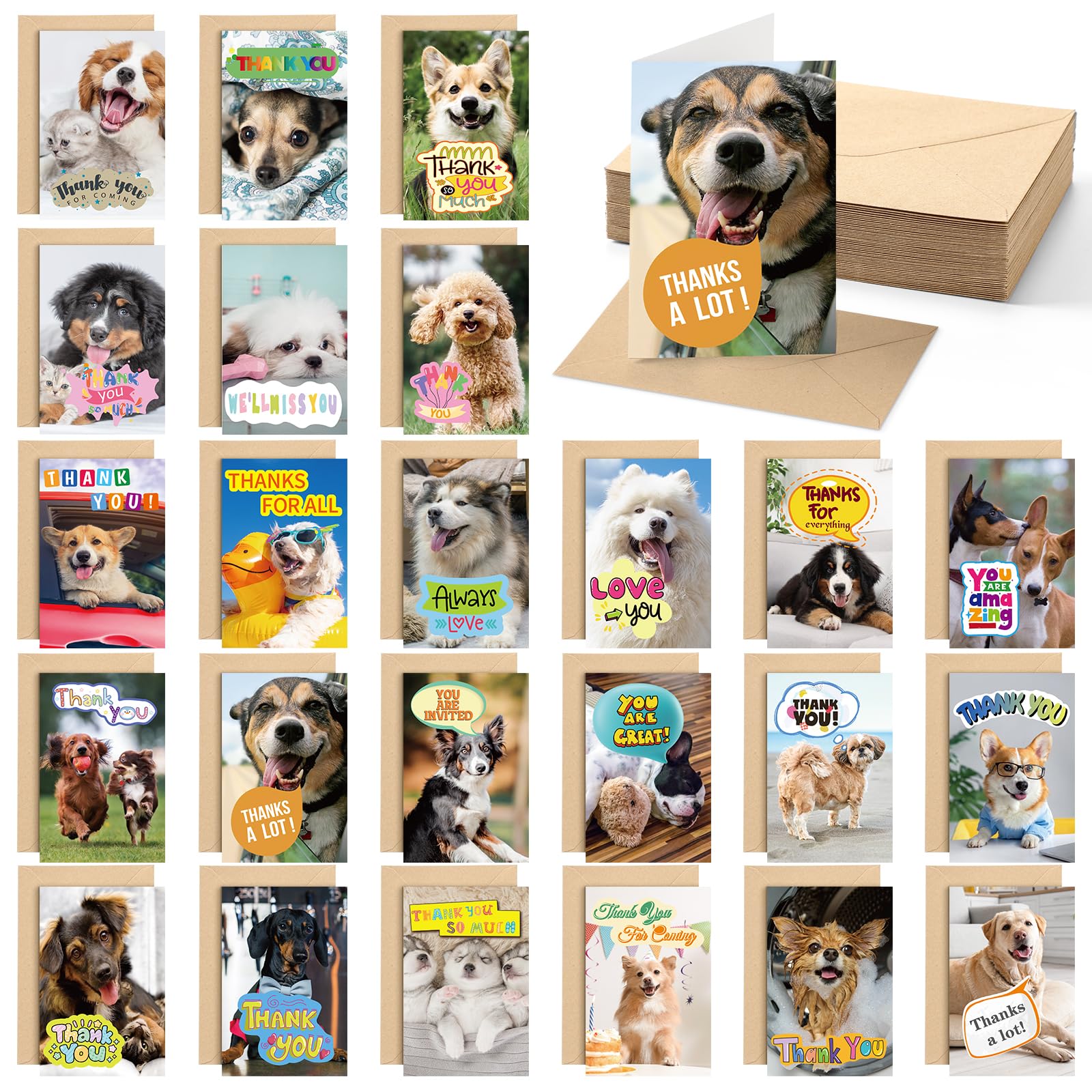 Motiskyy 48 Set Dog Thank You Cards with Envelopes 4 x 6 in Puppy Animal Themed Cards Blank Inside Dog Note Cards Funny Greeting Card for Gratitude, Recognition, Appreciation