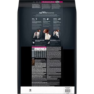 EUKANUBA™ Adult Medium Breed Dry Dog Food, 40 lb