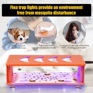 Flea Traps for Inside Your Home, 2 Pack Flea Trap with Adjustable Light Modes & 4 Flying Insect Trap Sticky Refill Pads, Harmless & Friendly to Pets & Kids Pest Trapper for Fleas, Flies