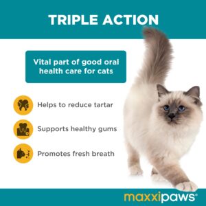 maxxipaws maxxidental Advanced Oral Support Powder Supplement – Dental & Gum Care for Cats, 3.2oz