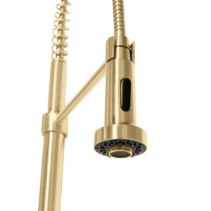 ZLINE Autograph Edition Apollo Kitchen Faucet in Champagne Bronze (APL-KF-CB)