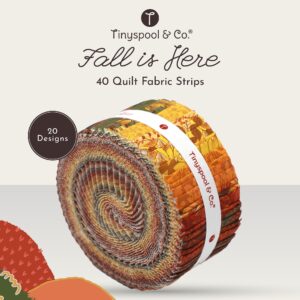 Tinyspool & Co. Jelly Roll Fabric Strips for Quilting, Crafting, and Sewing, 40 Strip Assorted Bundle, Soft Cotton for Blanket, Rug, Upholstery, Home Decor, and Purse Making, Fall is Here