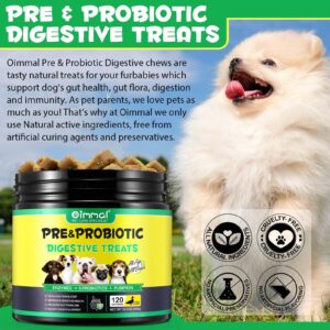 Probiotics Chews for Dogs - Pre & Probiotic Digestive Treats for Dog, Support Gut Health, Seasonal Allergies, Itchy Skin, Dog Supplement Soft Chews for Pet Immune System for Dogs - 120pc/Duck Flavor