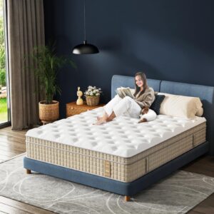 VISCOFLEX King Mattress, Luxury 12 Inch King Size Mattress in a Box, Best Firm Hybrid Mattress King Size with Upgrade Pocket Springs for Strong Back Support & Pain Relief, Non-Toxic & Odor