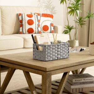 GRANNY SAYS Small Wicker Baskets for Organizing, Storage Basket for Shelves, Shelf Baskets with Handles, Waterproof Woven Basket for Living Room, Rectangular Baskets for Entryway