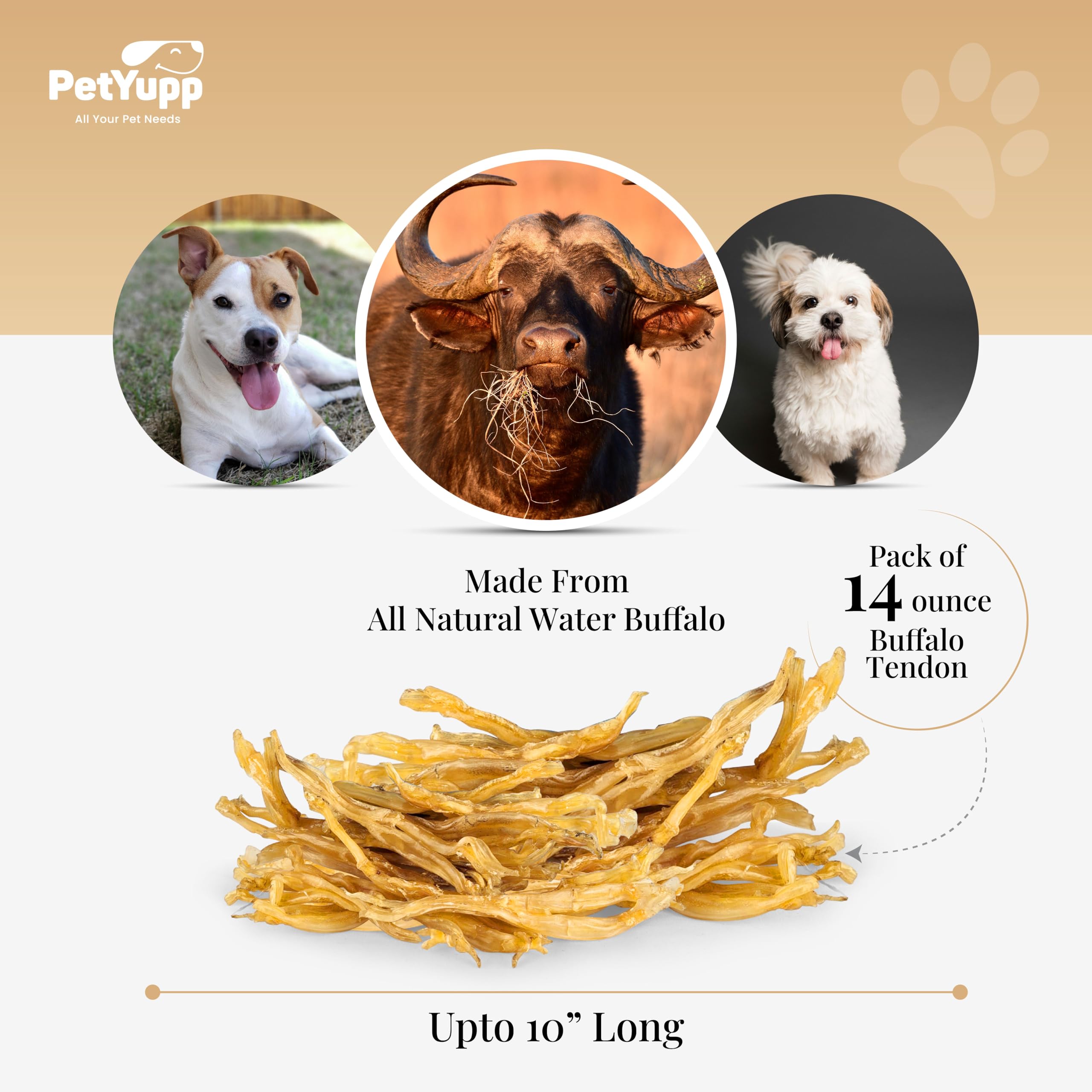 PetYupp Water Buffalo Tendon Dog Chews - 14 oz - 100% Natural Dog Treats - for Small, Medium & Large Dog, High-Protein, Low-Fat & Easy Digest Dog Treats, Promotes Dental Health - No Additives