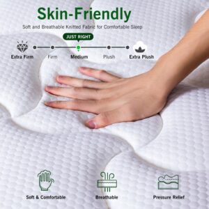 DatMou Full Size Mattress, 12 Inch Full Mattress in a Box, Hybrid Memory Foam Mattress with Individually Pocketed Springs, Motion Isolation, CertiPUR-US Certified, Fiberglass Free