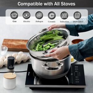 AuFranc® 4 Quart 18/10 Stainless Steel Tri-ply Stockpot and Steamer with Tempered Glass Lid, Multipurpose Steamer Pot Compatible with All Cooktops, Non-Toxic Soup Pot, Oven & Dishwasher Safe (Silver)