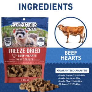 Freeze Dried Small Pet Treats - 1oz Resealable Bag of Treats for Ferrets - Ferret Snacks - Single Ingredient Ferret Food With No Preservatives Or Fillers- Small Animals Treats (1 oz, Beef Heart)