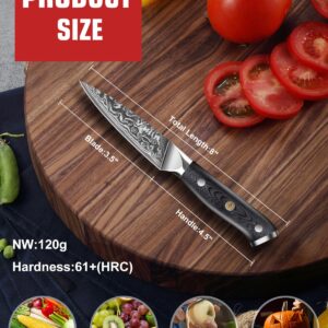 MOSFiATA Kitchen Knife ，Damascus paring Knife 3.5 inch Fruit Knife