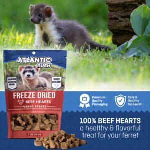 Freeze Dried Small Pet Treats - 1oz Resealable Bag of Treats for Ferrets - Ferret Snacks - Single Ingredient Ferret Food With No Preservatives Or Fillers- Small Animals Treats (1 oz, Beef Heart)