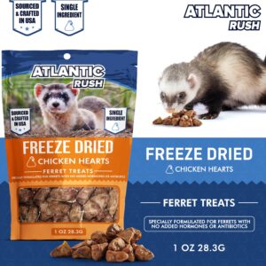 Freeze Dried Small Pet Treats - 1oz Resealable Bag of Treats for Ferrets - Ferret Snacks - Single Ingredient Ferret Food With No Preservatives Or Fillers- Small Animals Treats (1 oz, Chicken Heart)