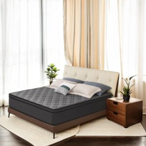 MRH Mattress, 12 Inch Euro Top Mattress in a Box,Memory Foam Hybrid Mattresswith Individually Pocket Springs,Med，Pure Black (Pure Black, King (U.S. Standard)), PM2404