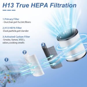 4 Pack TPLMB P60 Air Purifier Replacement Filters,Three-in-One Nylon Pre-Filter,True HEPA Filter,High-Efficiency Carbon Filter,P60-RF (white)