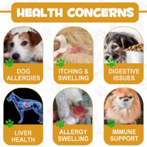 Allergy Relief Drops for Dogs - Allergy and Immune - Immune Support Supplement - Dog Supplement - Natural Pet Supplement for Dog Allergy Relief with Turmeric & Milk Thistle